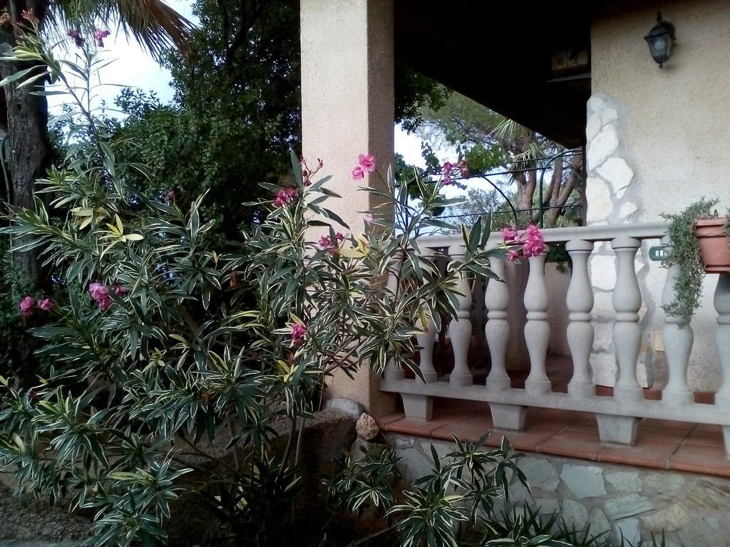 B&B Il Vigneto Capoterra Bagian luar foto