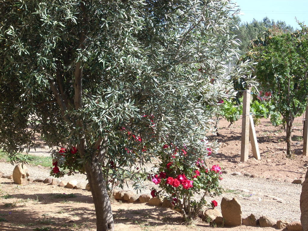 B&B Il Vigneto Capoterra Bagian luar foto