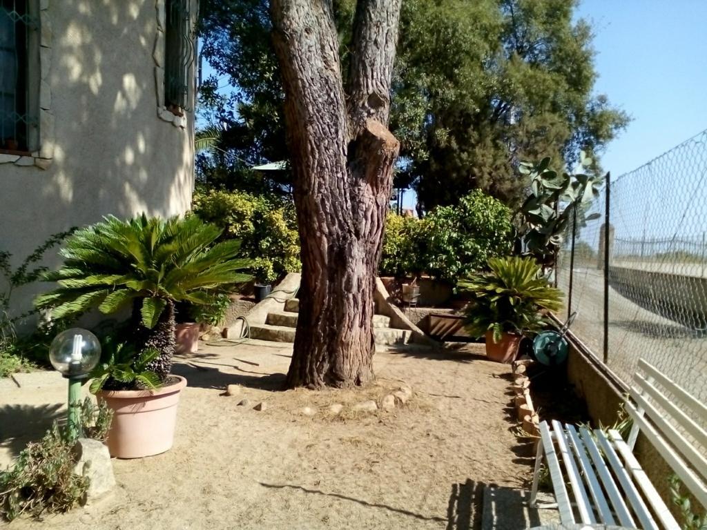 B&B Il Vigneto Capoterra Bagian luar foto